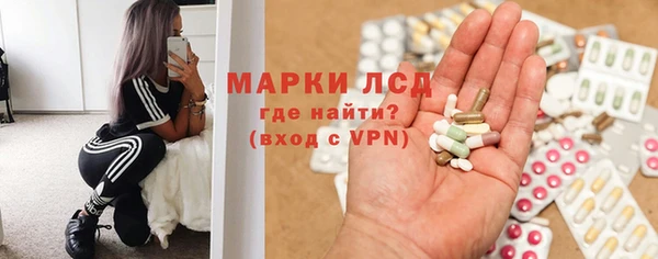 индика Касимов