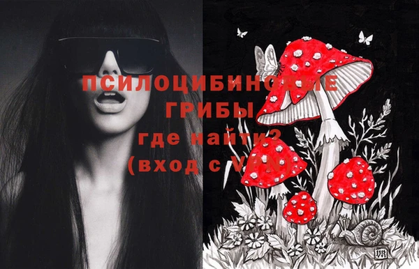 эйфоретик Карпинск