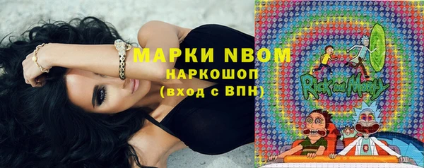 индика Касимов