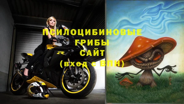 эйфоретик Карпинск