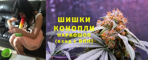 эйфоретик Карпинск