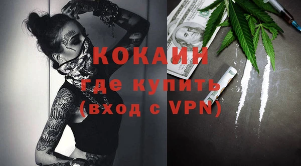 индика Касимов