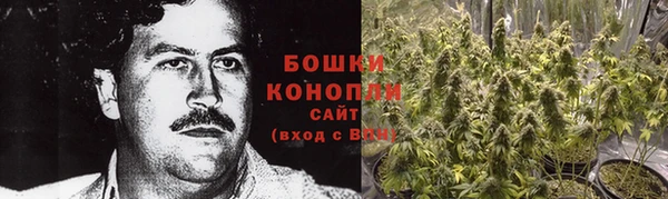 индика Касимов