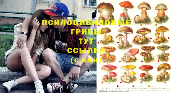 индика Касимов