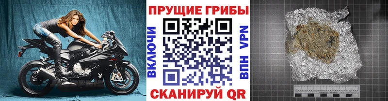 Псилоцибиновые грибы мицелий  Купить  Заволжск 
